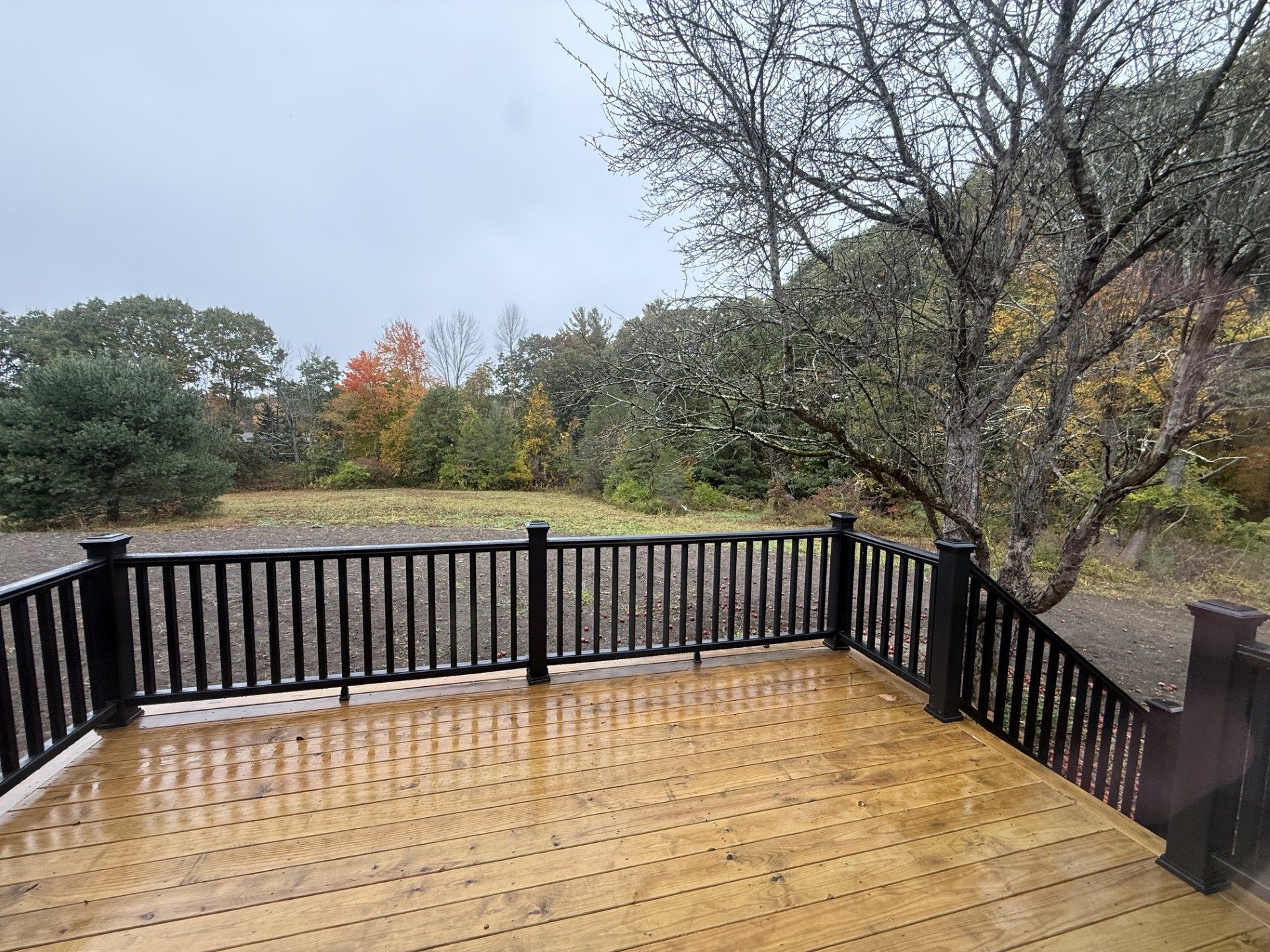 10' x 12' deck off the kitchen