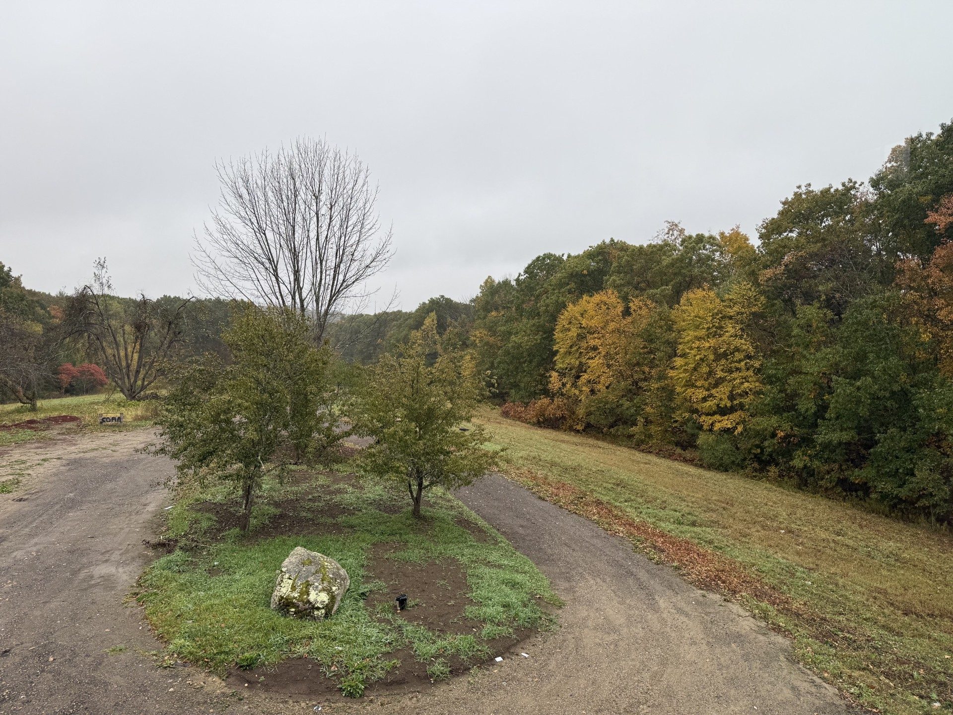 Tree-lined circle at the top of the drive