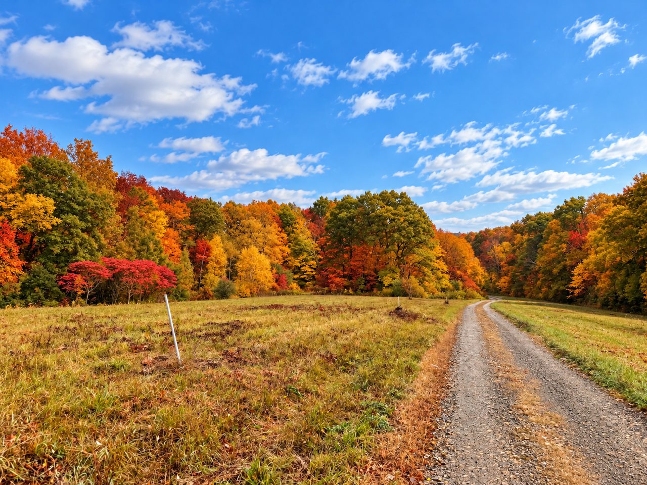 Gravel drive through the fields in fall